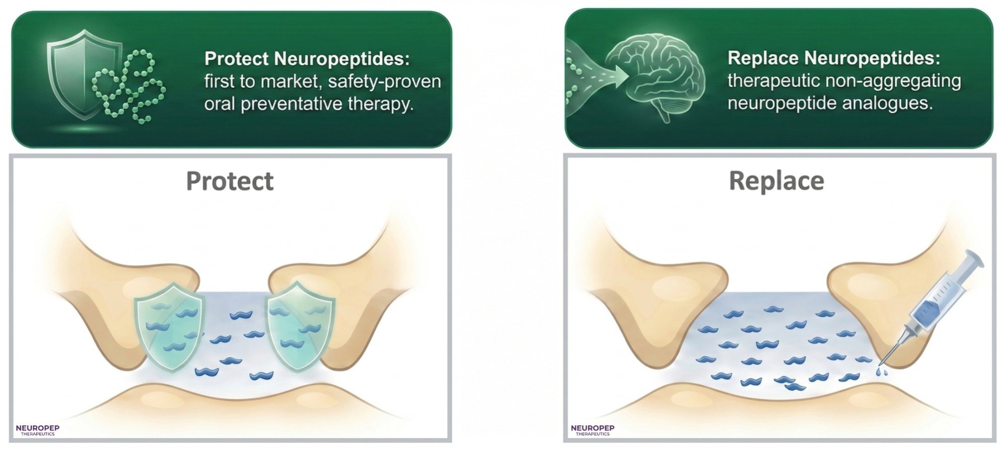 Neuropep Therapeutics — Protect and Replace Neuropeptides